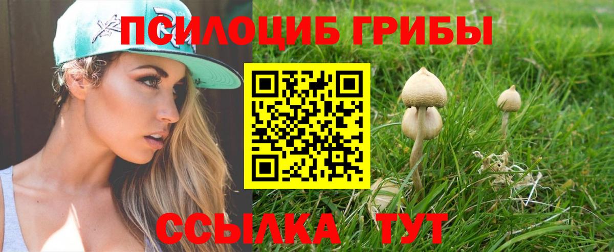 Унеча  Псилоцибиновые грибы GOLDEN TEACHER  как найти закладки  Вход с VPN 
